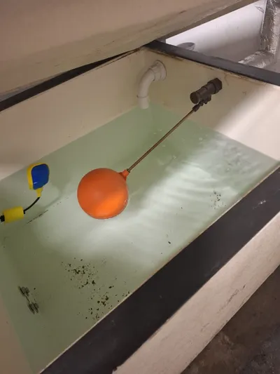 water hygiene inspection — orange plastic float ball on a long arm valve inside a clean GRP cold water storage tank, with a yellow and blue low-water-level safety alarm sensor fitted to the tank wall.